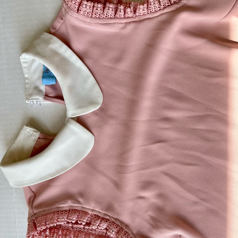 CeCe Pink Blouse with White Collar